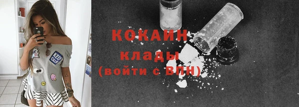 спиды Богородицк