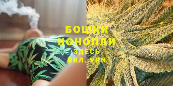 дурь Бронницы