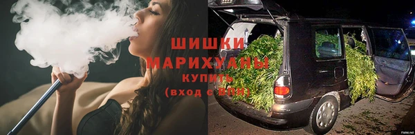 спиды Богородицк