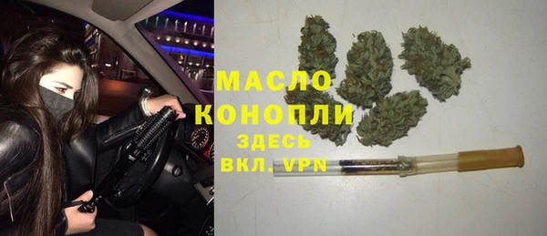 спиды Богородицк