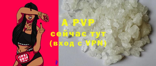 стаф Новый Уренгой