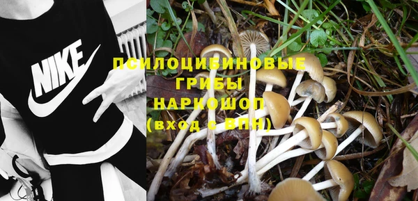 дурь Бронницы