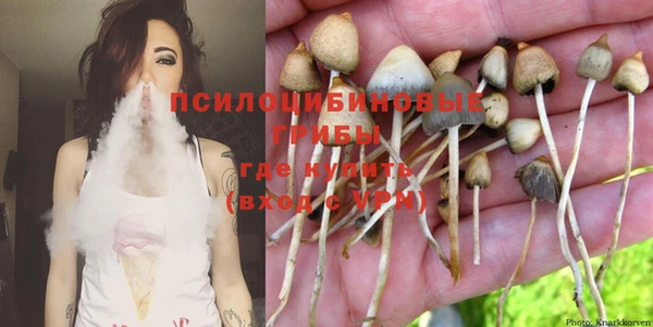 ALPHA PVP Богданович