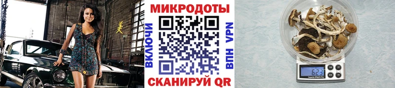 Галлюциногенные грибы Magic Shrooms  закладка  Гатчина 